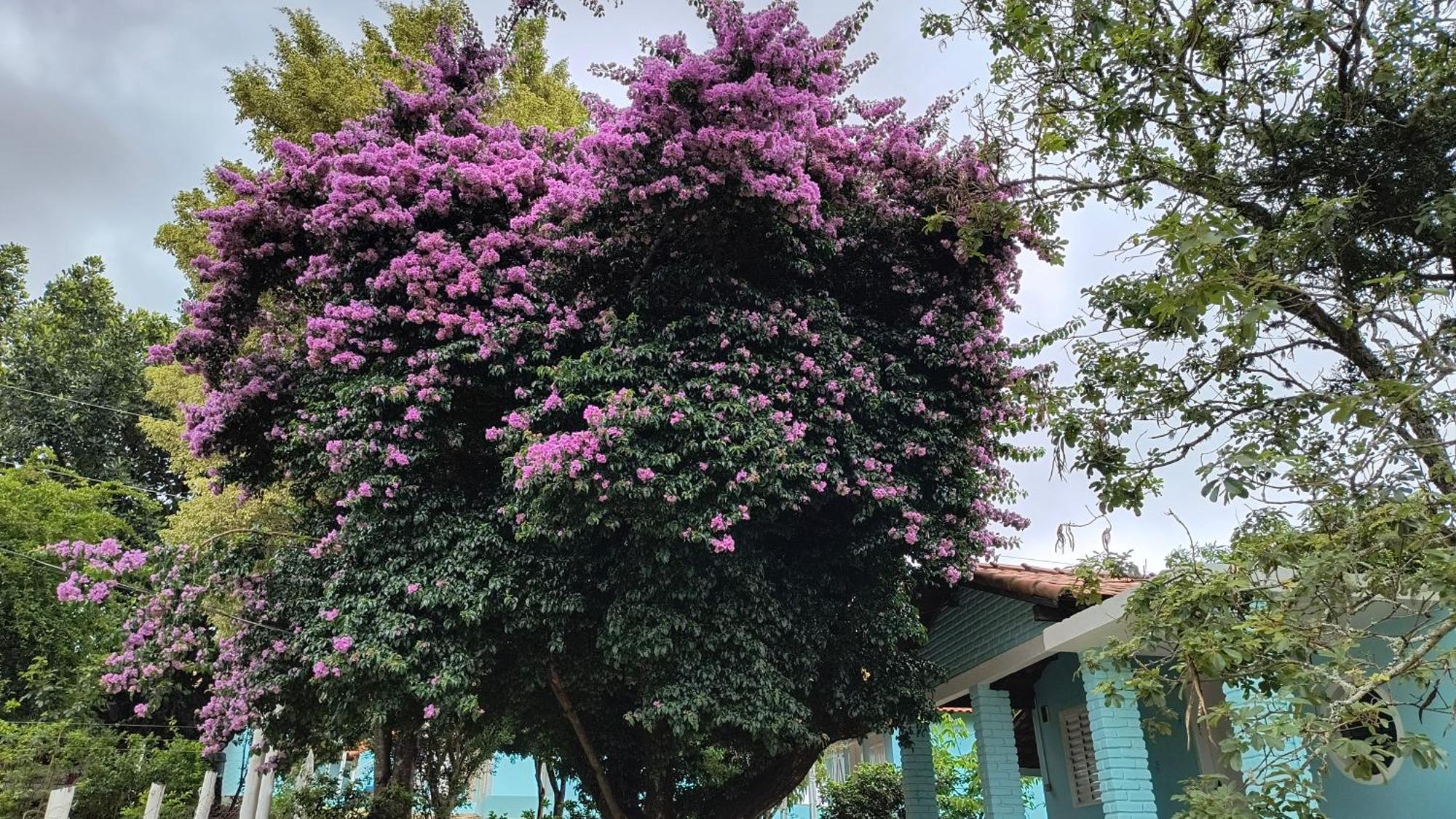 מלון São Tomé das Letras Pousada Recanto Do Sossego מראה חיצוני תמונה