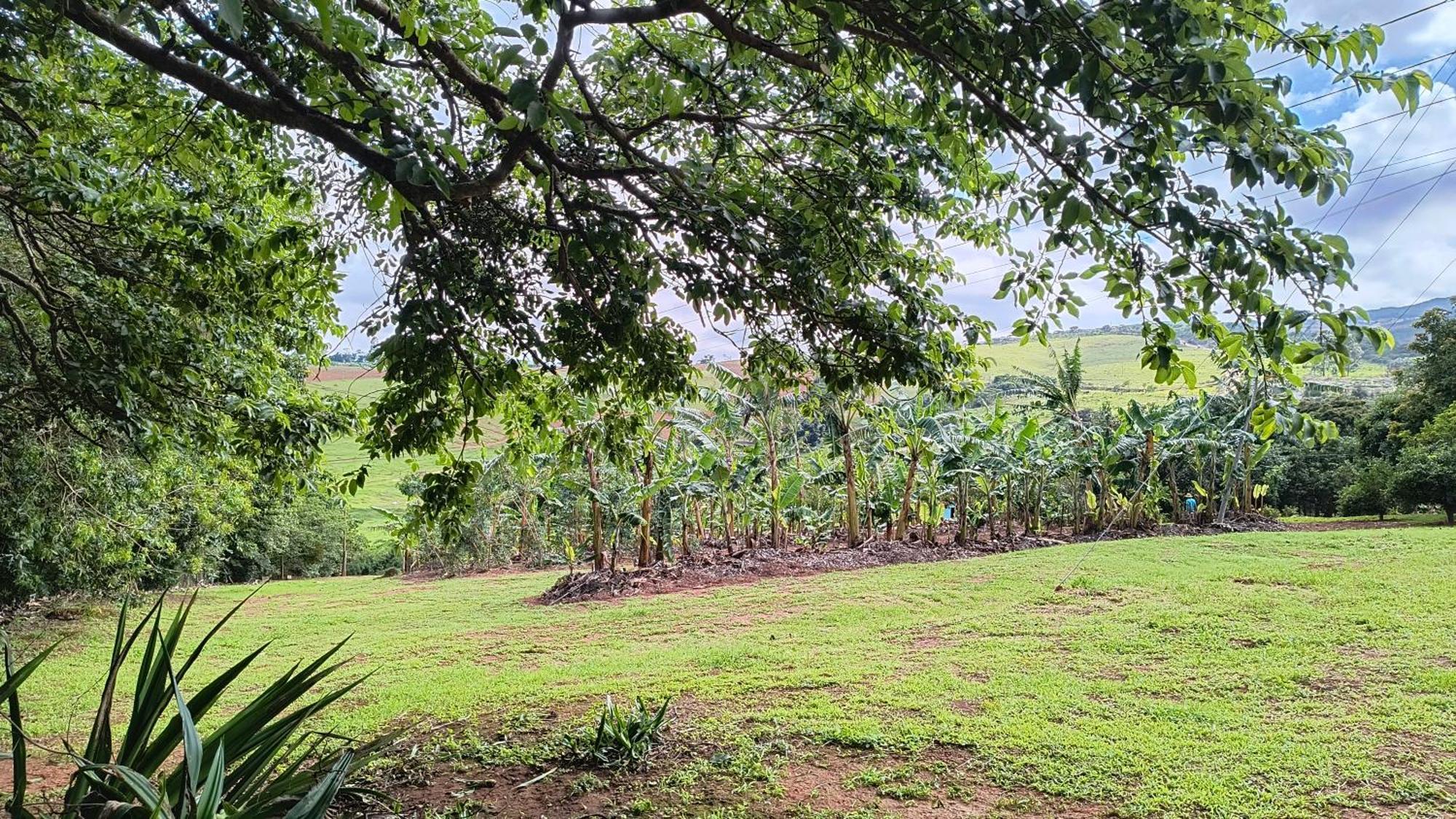 מלון São Tomé das Letras Pousada Recanto Do Sossego מראה חיצוני תמונה