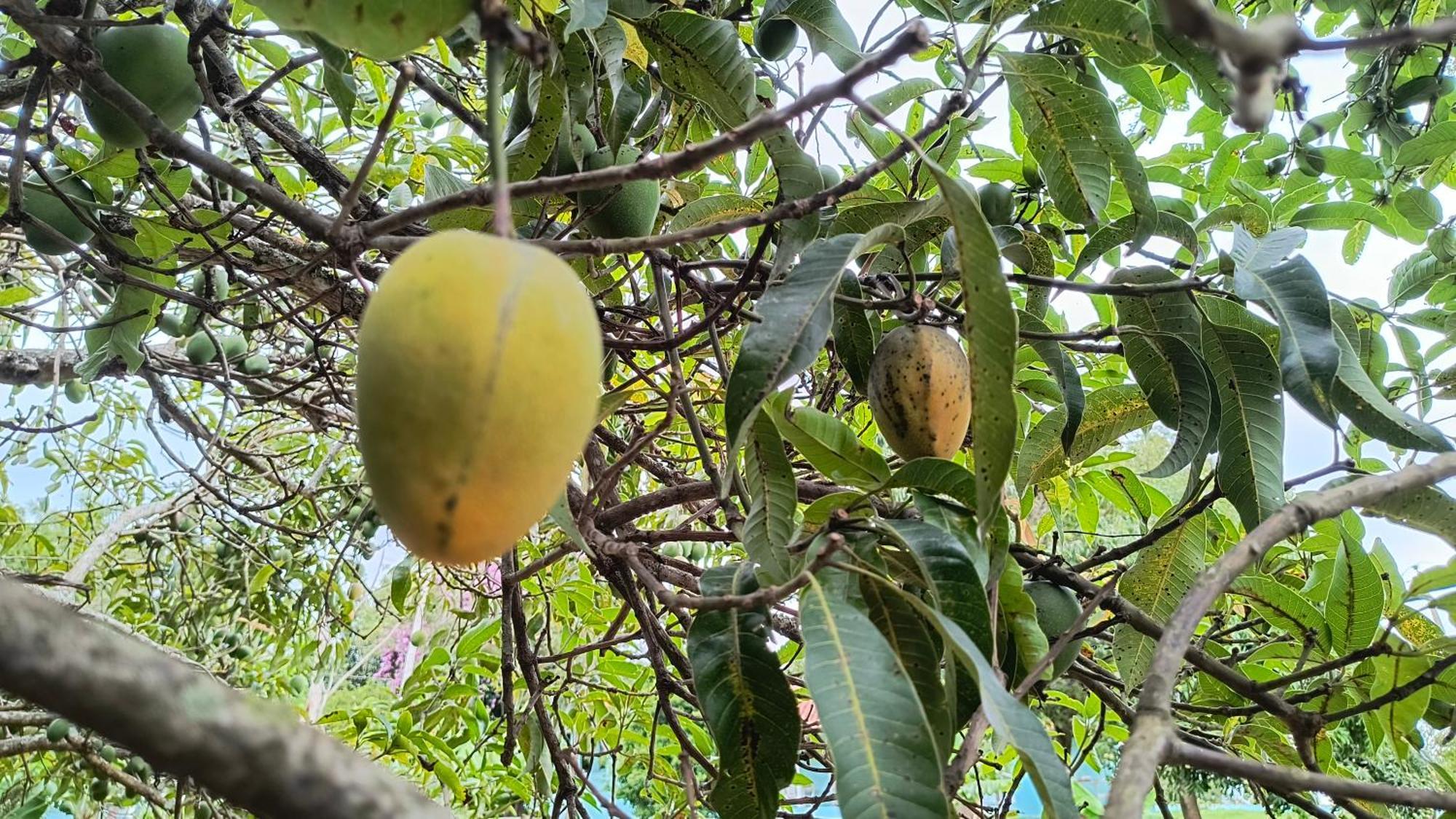 מלון São Tomé das Letras Pousada Recanto Do Sossego מראה חיצוני תמונה