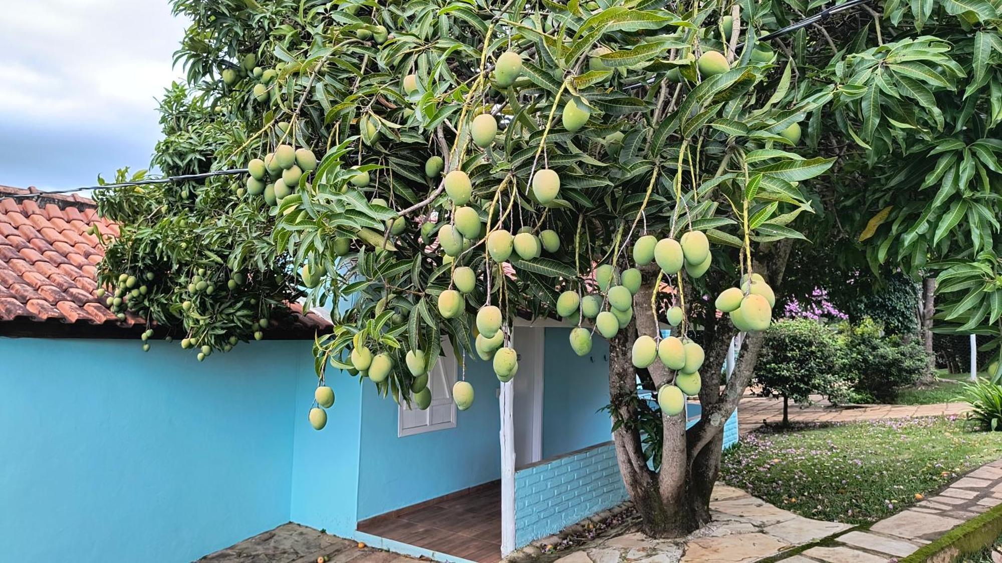 מלון São Tomé das Letras Pousada Recanto Do Sossego מראה חיצוני תמונה